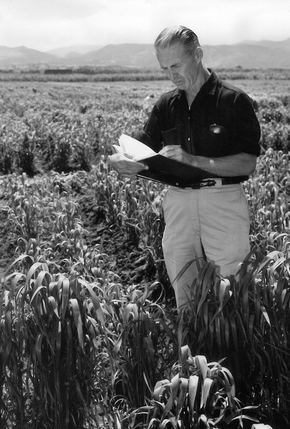 Norman Borlaug taking notes in a field