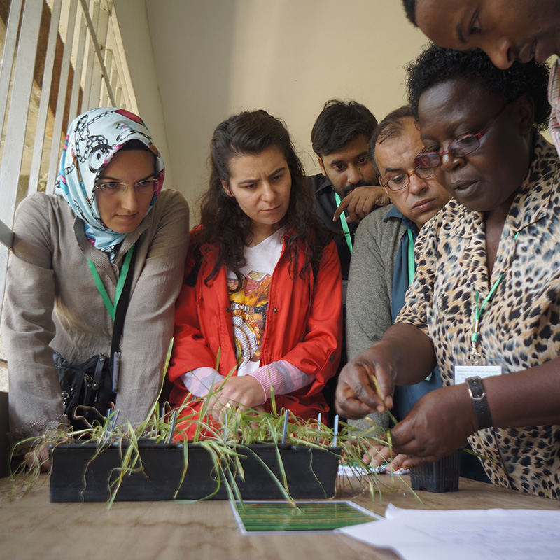 A scientist demonstrates an activity to others in a group