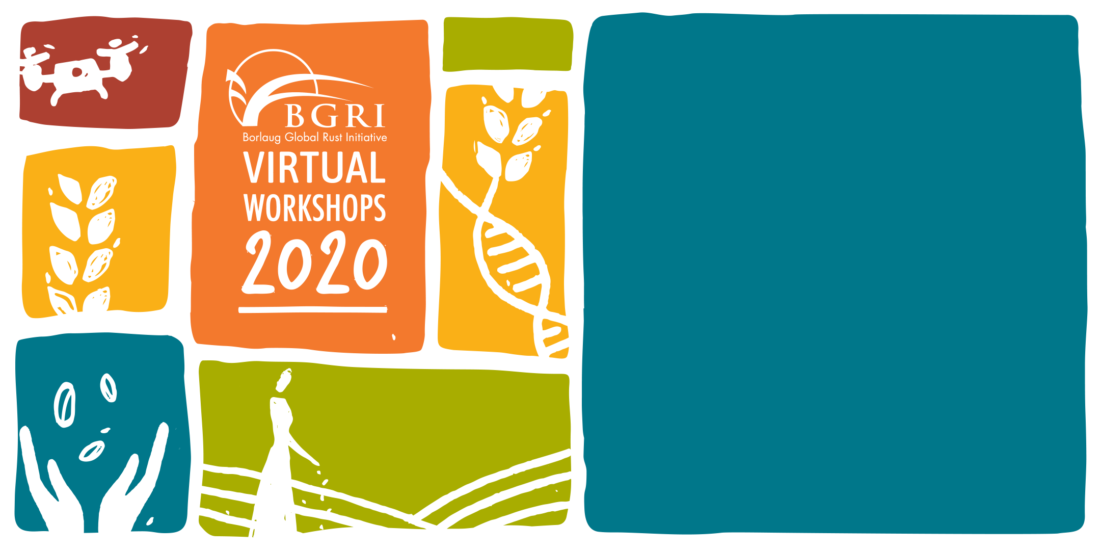 BGRI 2020