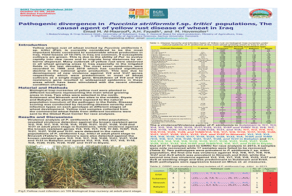 Pathogenic Divergence in Puccinia Striiformis f.sp. tritici Population, the Causal Agent of Wheat Rust in Iraq