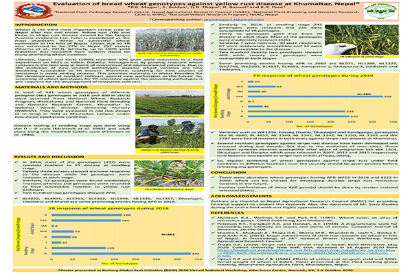 Evaluation of Bread Wheat Genotypes against Yellow Rust Disease at Khumaltar, Nepal