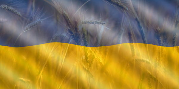 Ukraine flag superimposed over field of wheat