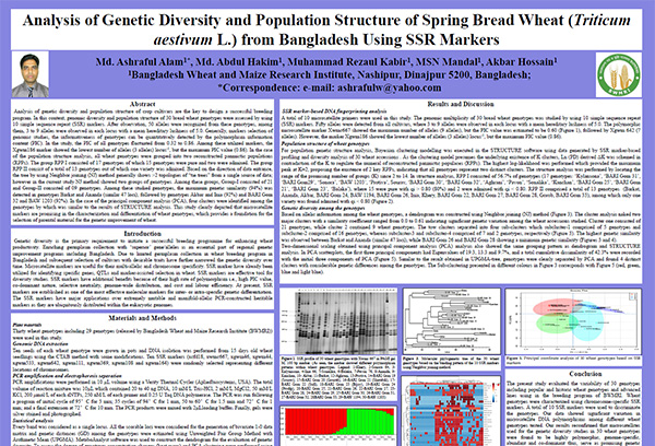 Analysis of Genetic Diversity and Population Structure of Spring Bread Wheat (Triticum aestivum L.) from Bangladesh Using SSR Markers