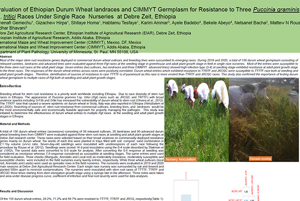 Evaluation of Ethiopian Durum Wheat Germplasm for Resistance to Three Puccinia graminis f. sp. tritici Races Under Single Race Nurseries at Debre Zeit, Ethiopia