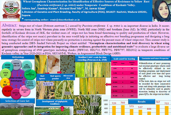 Wheat germplasm characterization for identification of effectivesources of resistance to yellow rust under temperate conditions of Kashmir valley