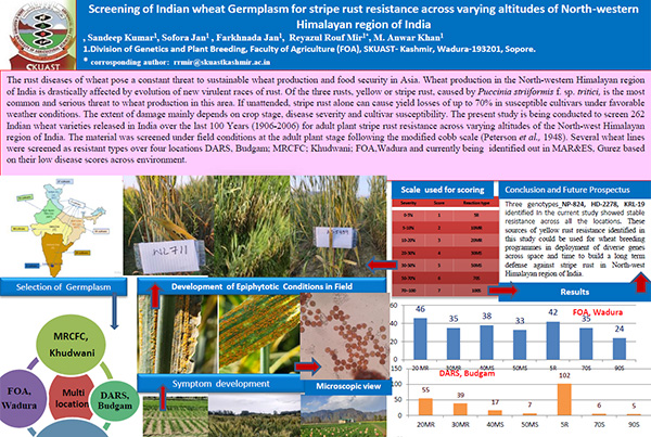 Screening of Indian wheat Germplasm for stripe rust resistance across varying altitudes of North western Himalayan region of India