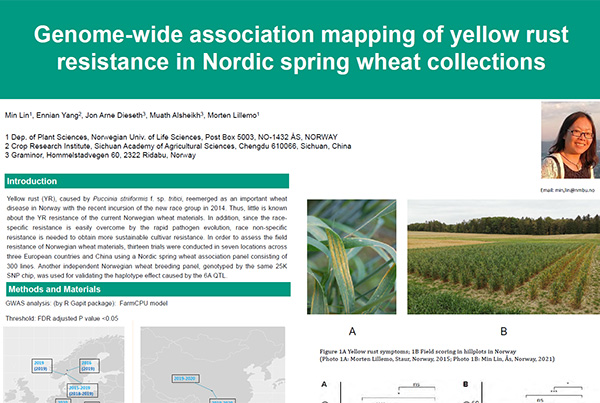 Genome-wide association mapping of yellow rust resistance in Nordic spring wheat collections