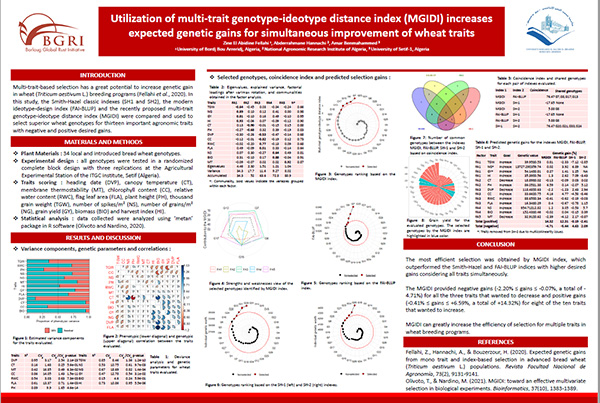Utilization of multi-trait genotype-ideotype distance index (MGIDI) increases expected genetic gains for simultaneous improvement of wheat traits