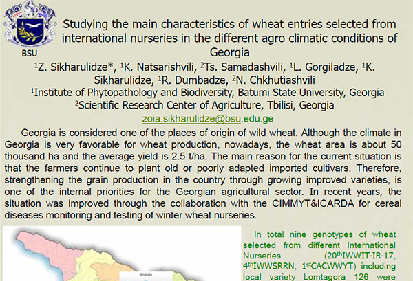 Studying the main characteristics of wheat entries selected from international nurseries in the different agroclimatic conditions of Georgia