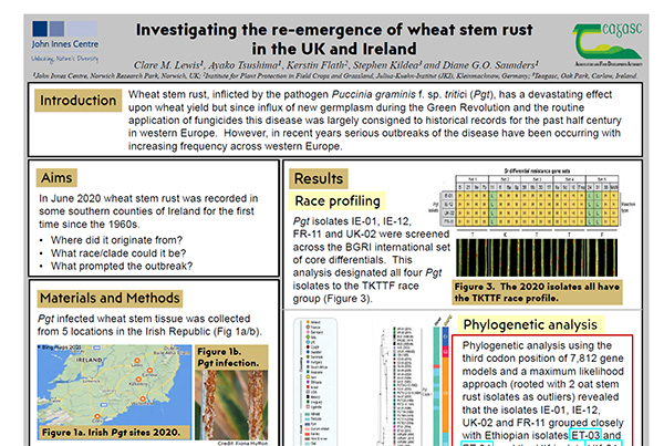 Investigating the re-emergence of wheat stem rust in the UK and Ireland.