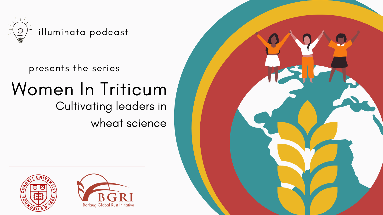 Illuminata podcast presents the series Women in Triticum cultivating leaders in wheat science