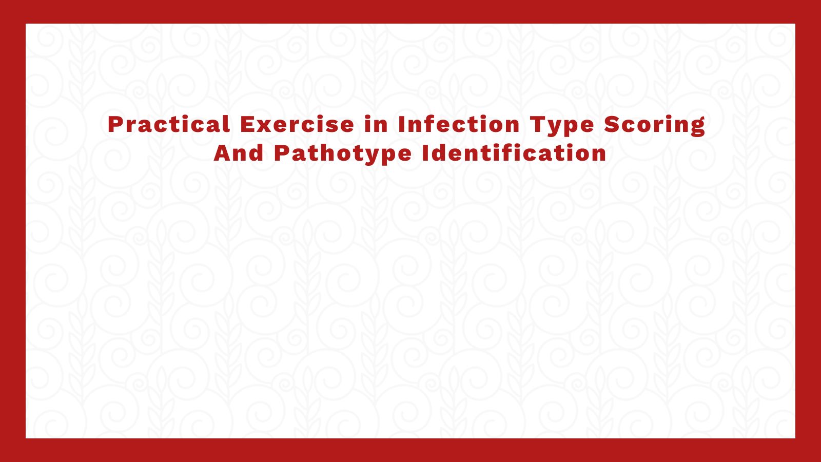 Practical Exercise in Infection Type Scoring And Pathotype Identification