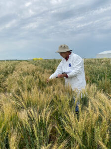 Researcher in field