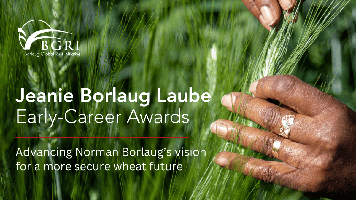 Jeanie Borlaug Laube Early-Career Awards. Advancing Norman Borlaug’s vision for a more secure wheat future