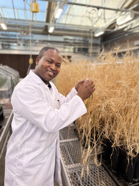 Israel Akinlabi