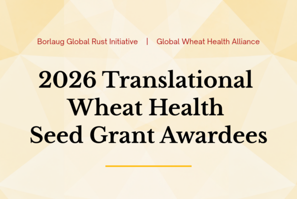 Borlaug Global Rust Initiative | Global Wheat Health Alliance 2026 Translational Wheat Health Seed Grant Awardees